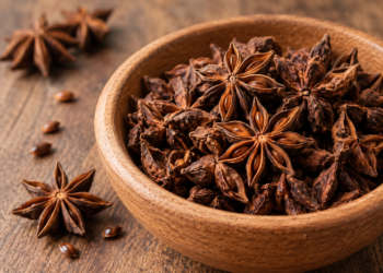 Star Anis – Anis De Estrella 40g