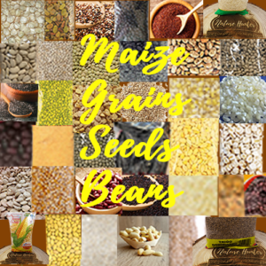 Maize, Grains, Seeds & Beans