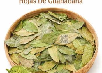 Dried Soursop Leaves – Hojas De Guanabana 50g